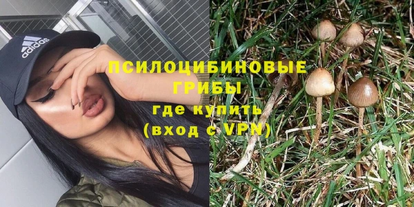спайс Карпинск